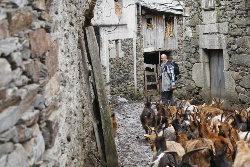 Quinta Dos 4 Lagares Hotel Serrazes Kültér fotó